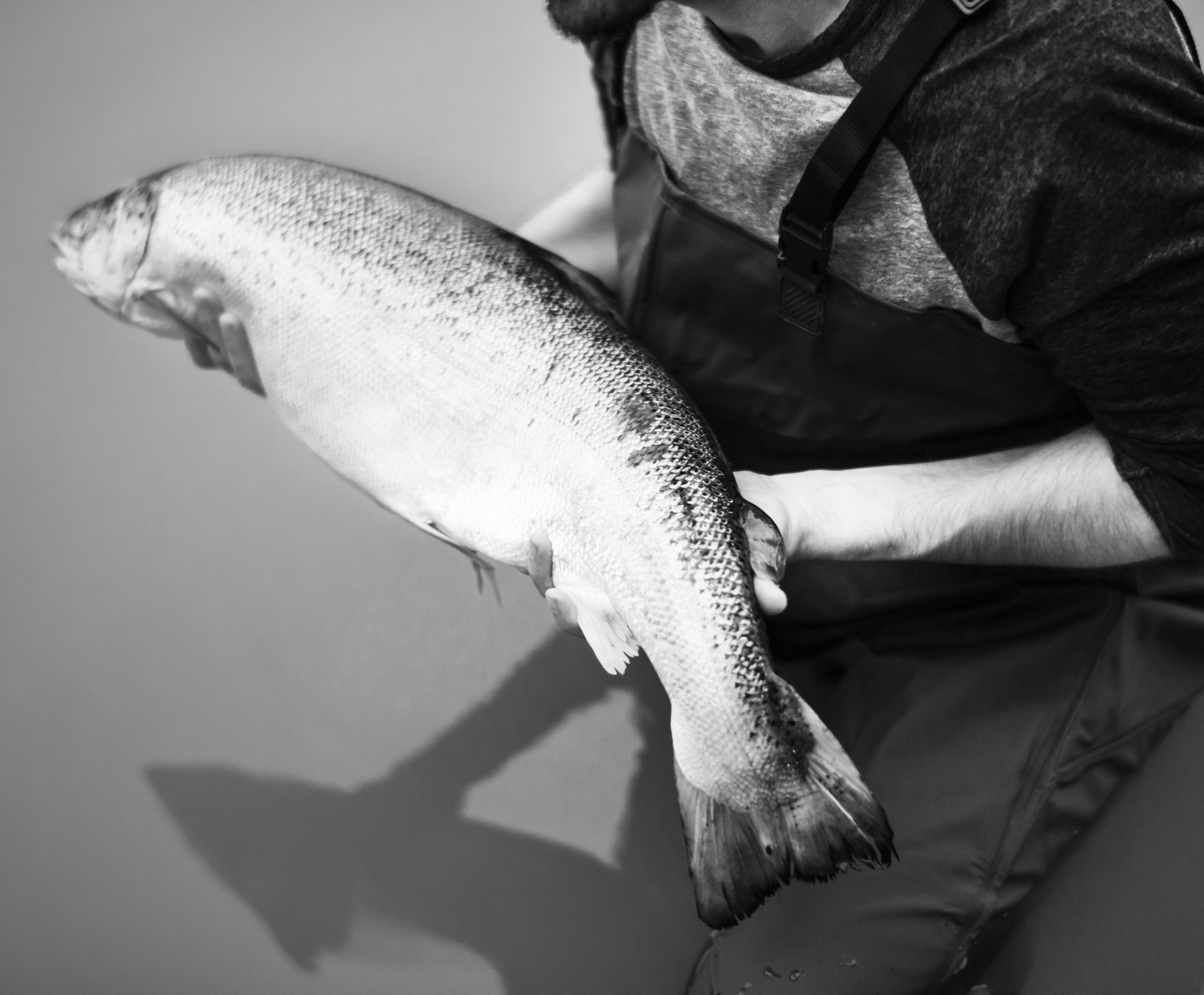 Paolo ex pescatore e titolare di antica trattoria muranese